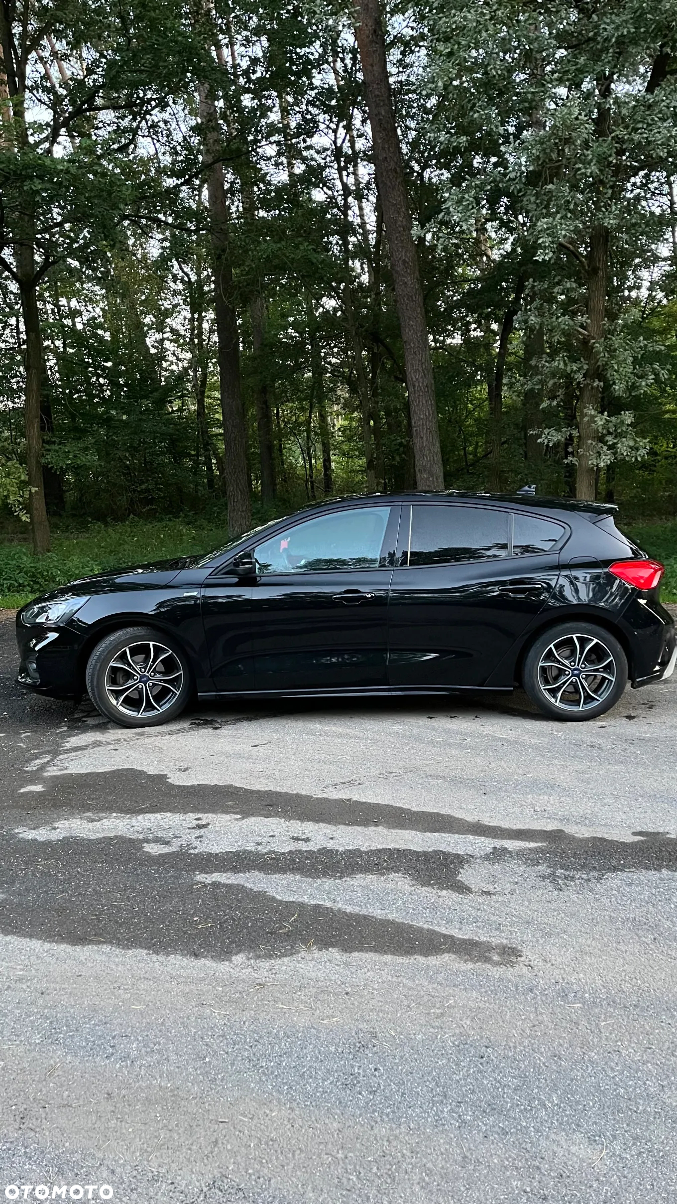 Ford Focus - 7