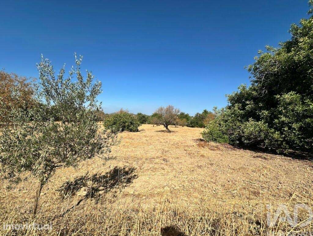 Terreno em Luz de Tavira e Santo Estêvão de 6820,00 m2 - Grande imagem: 2/5