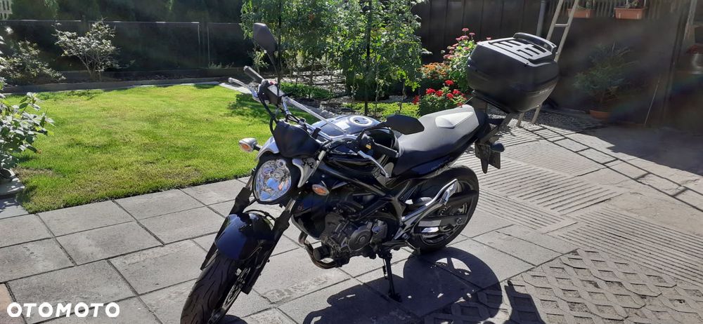 Suzuki Gladius