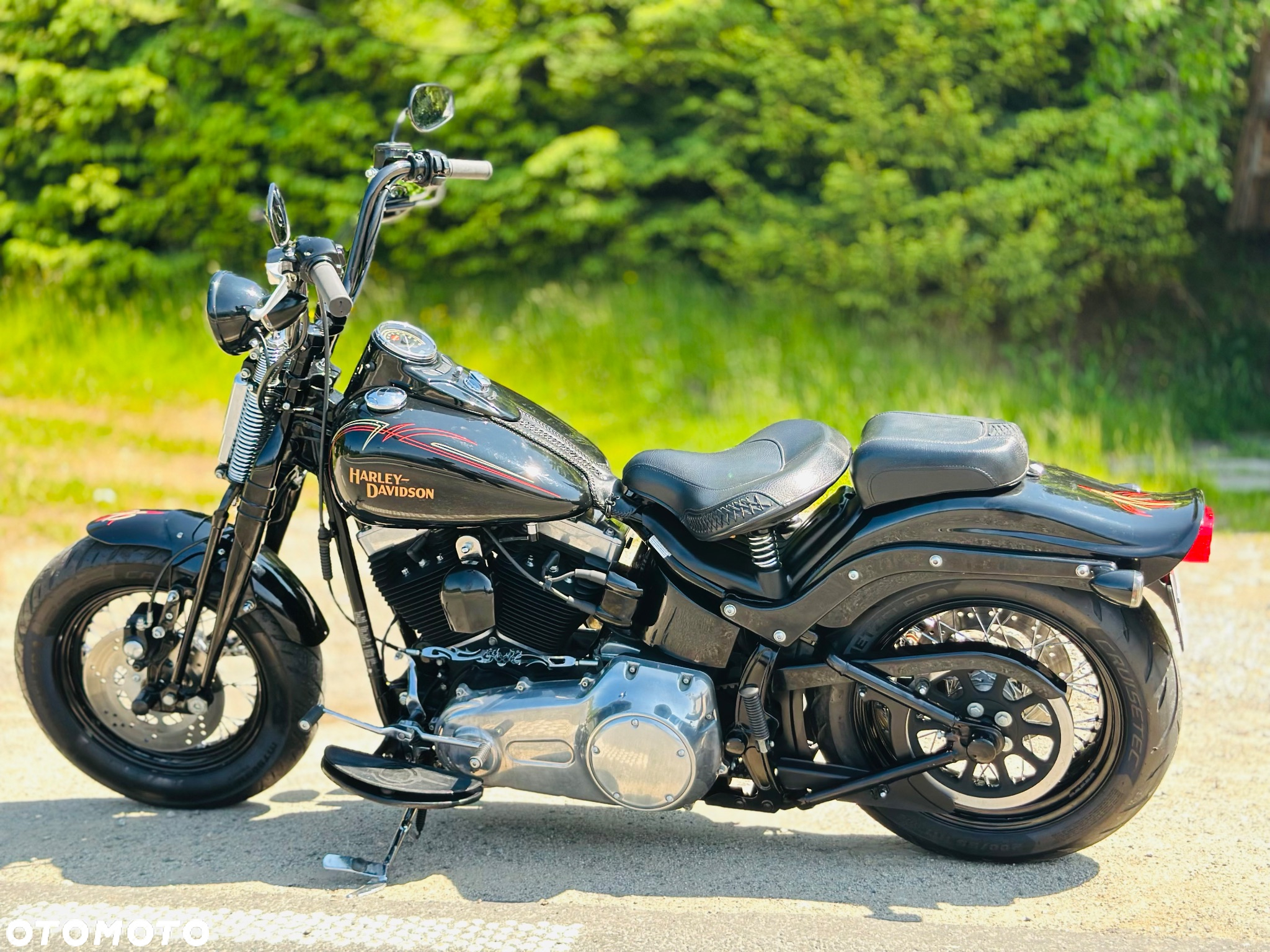 Harley-Davidson Softail Cross Bones - 2
