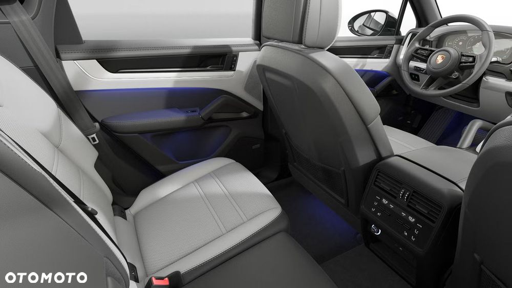Porsche Cayenne E-Hybrid PHEV - 14