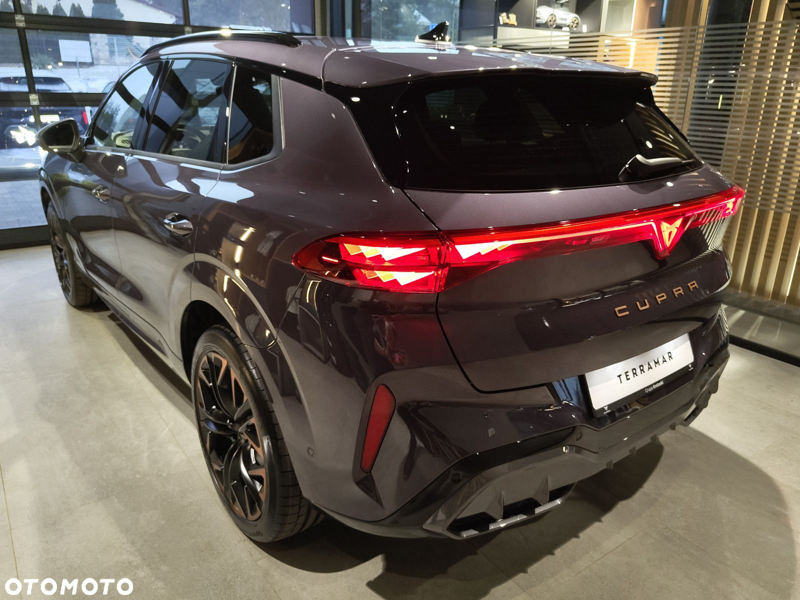 Cupra Terramar - 8
