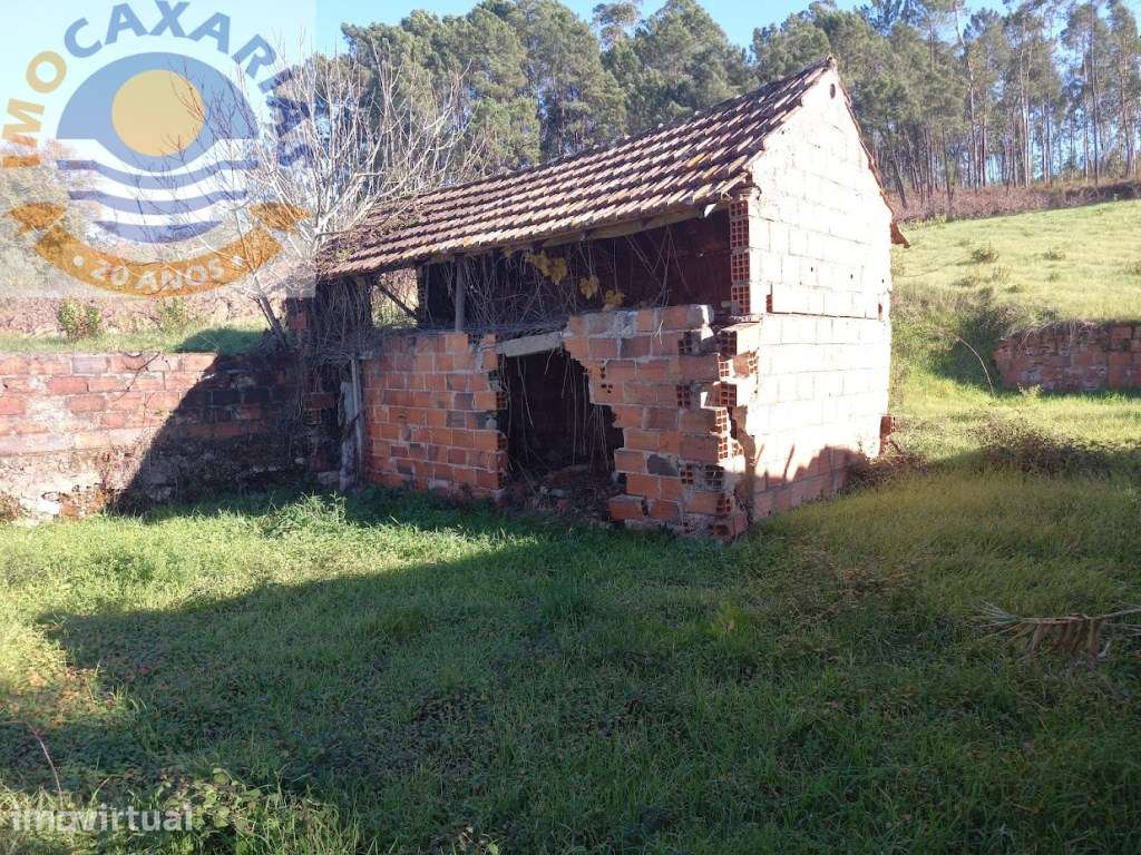 Moradia para recuperar com extenso logradouro - Grande imagem: 4/8