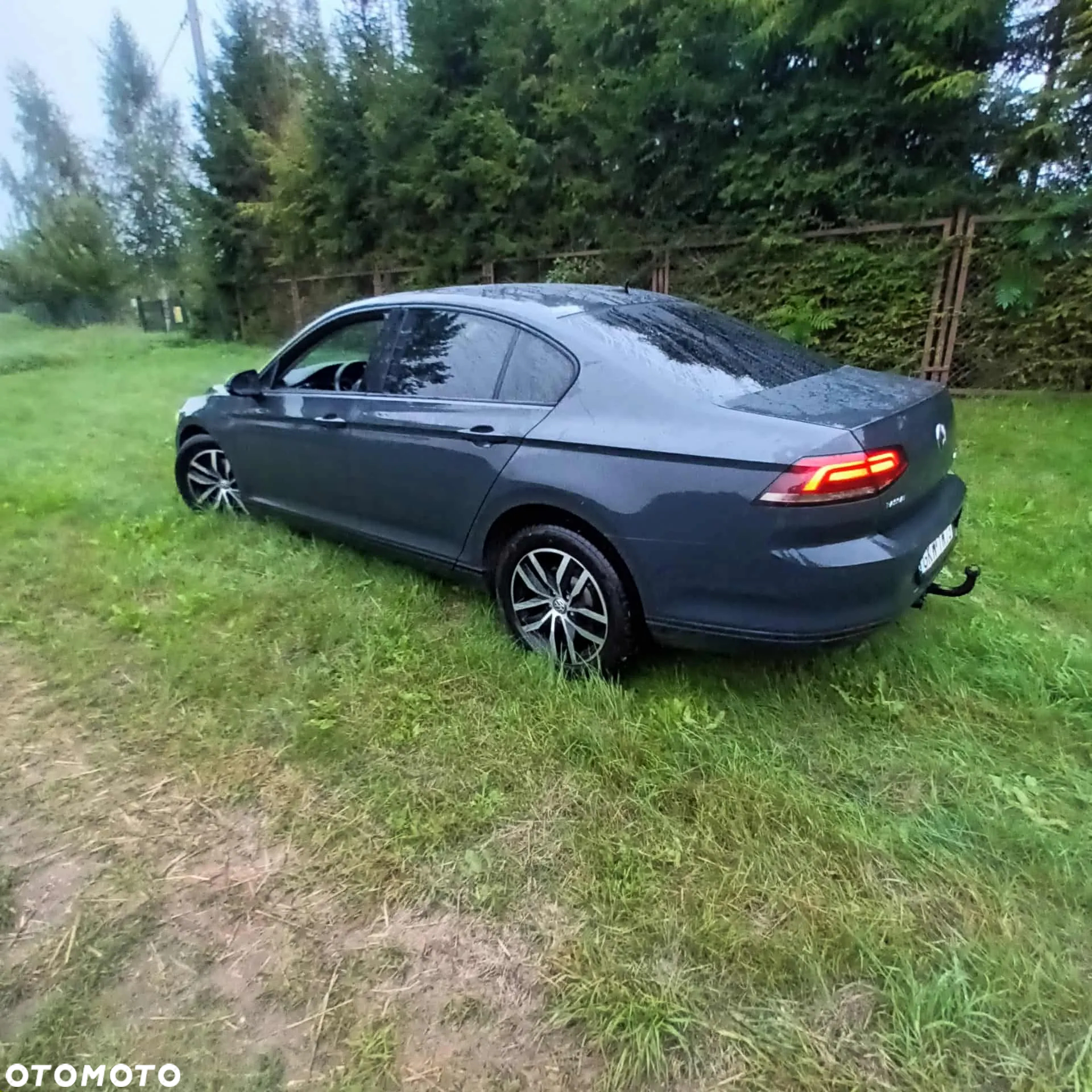 Volkswagen Passat - 5
