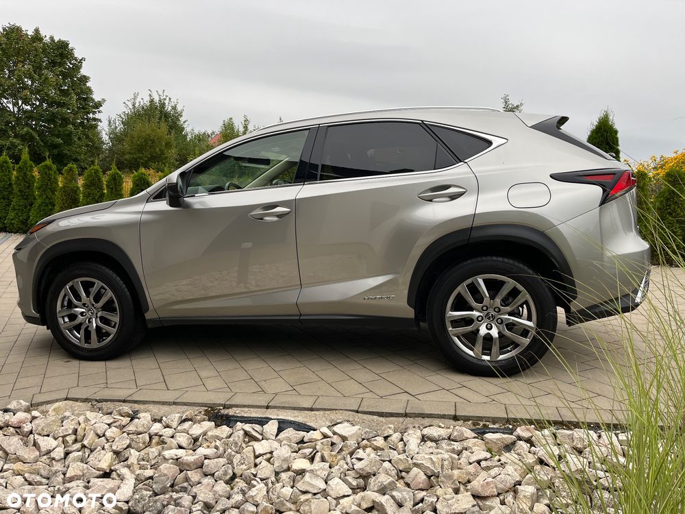 Lexus NX 300h F Sport Edition AWD - 5