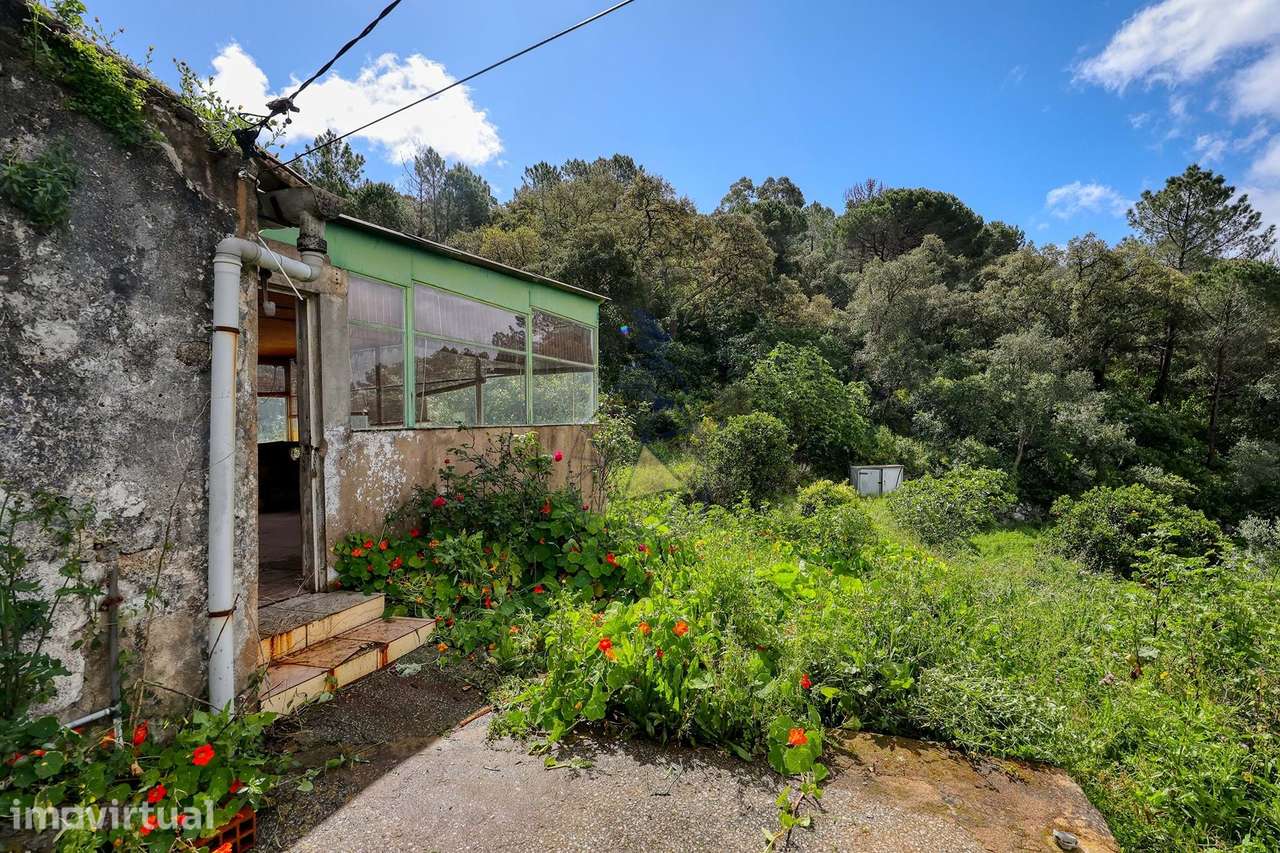 Quintinha T2  com Vista Panorâmica e Deslumbrante  para a serra em Mon - Grande imagem: 3/31