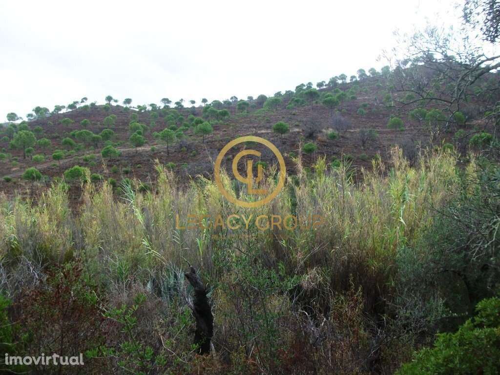 Terreno rústico no Barranco Maria Galega – Alcoutim - Grande imagem: 5/9