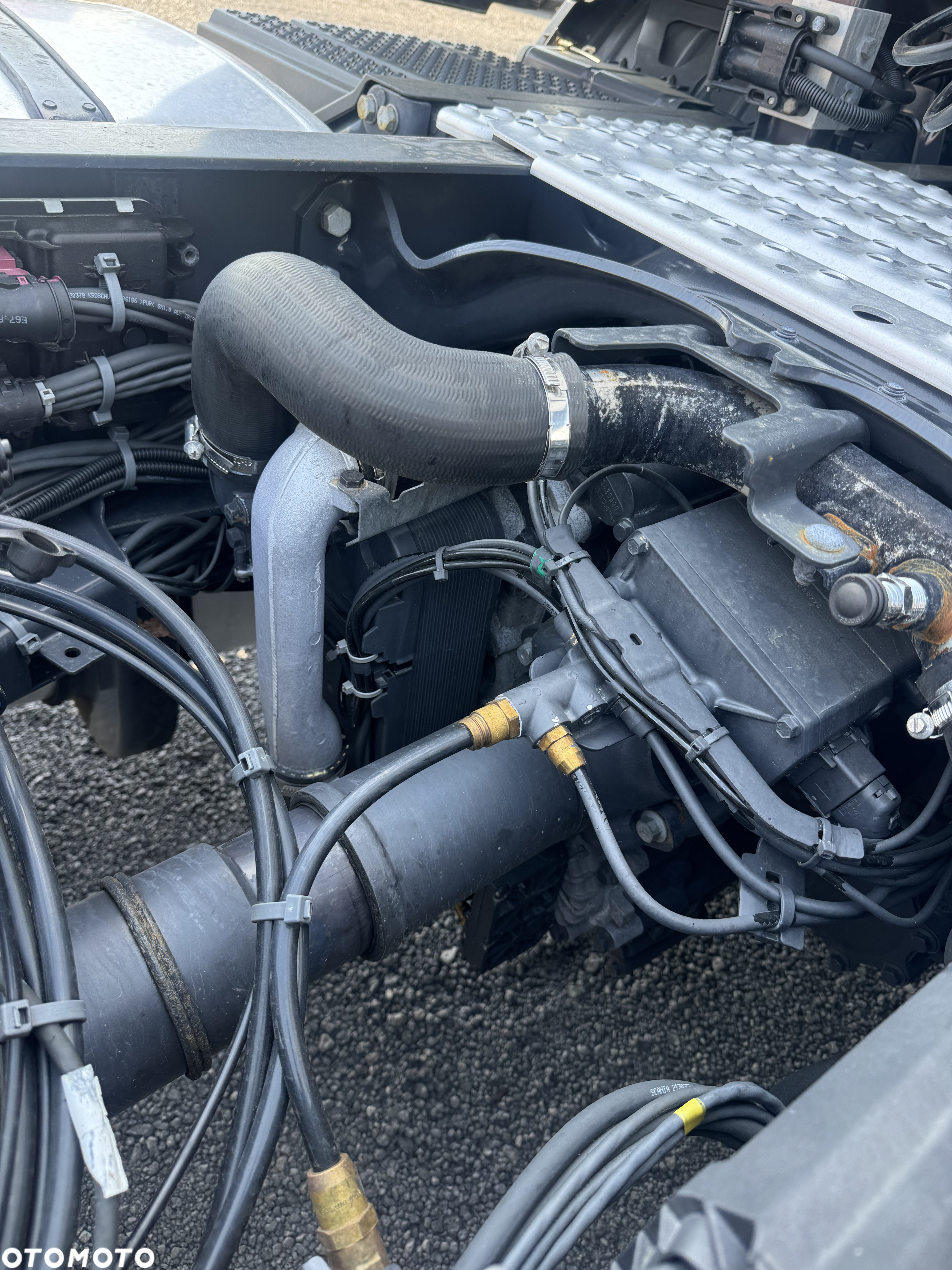 Scania R450 / Automat / Retarder / 2 Zbiorniki / Koła 315/70 / Lodówka / Stan BDB / z Francji - 13