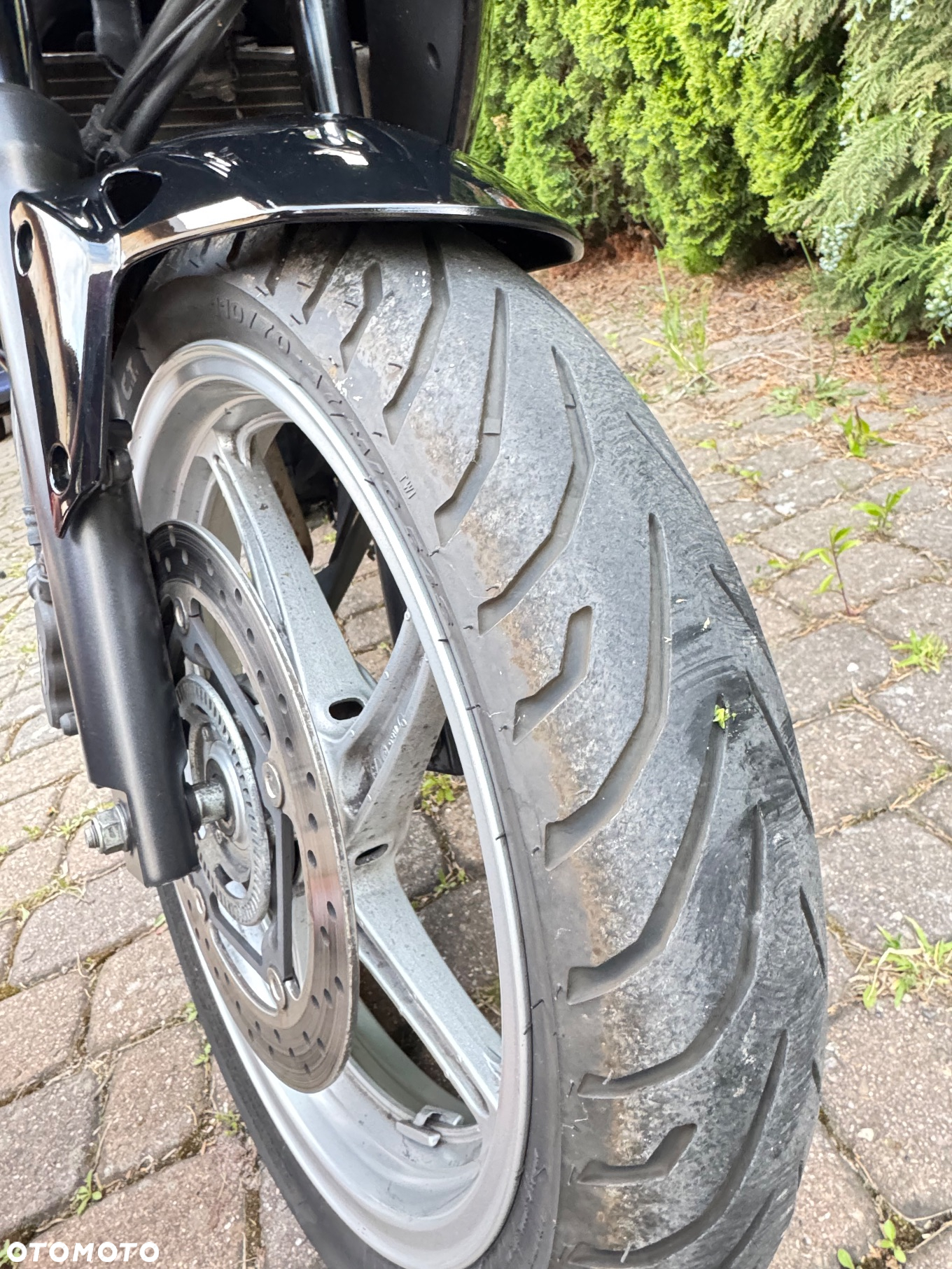 Honda CBR - 15
