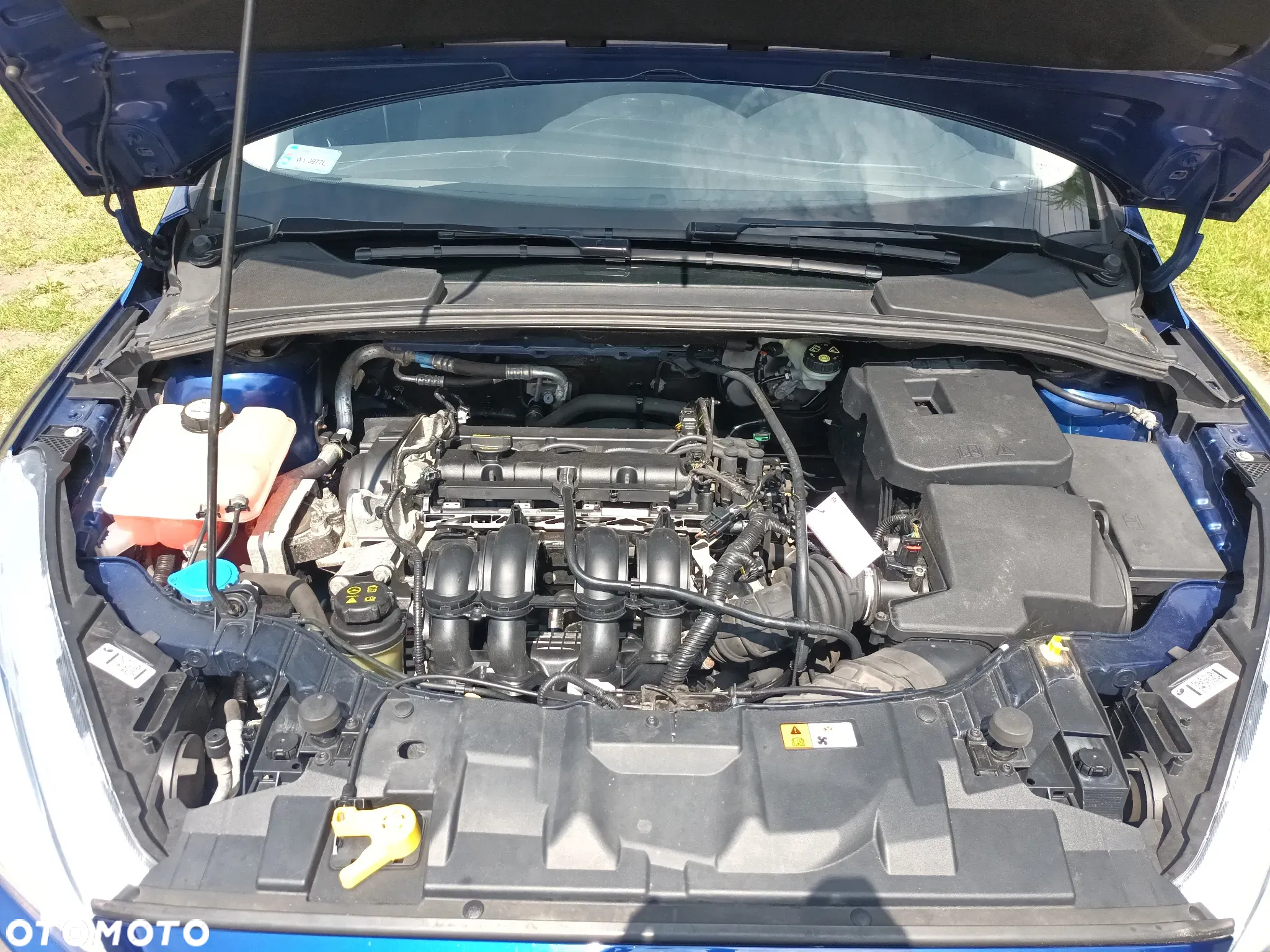 Ford Focus 1.6 Trend - 20
