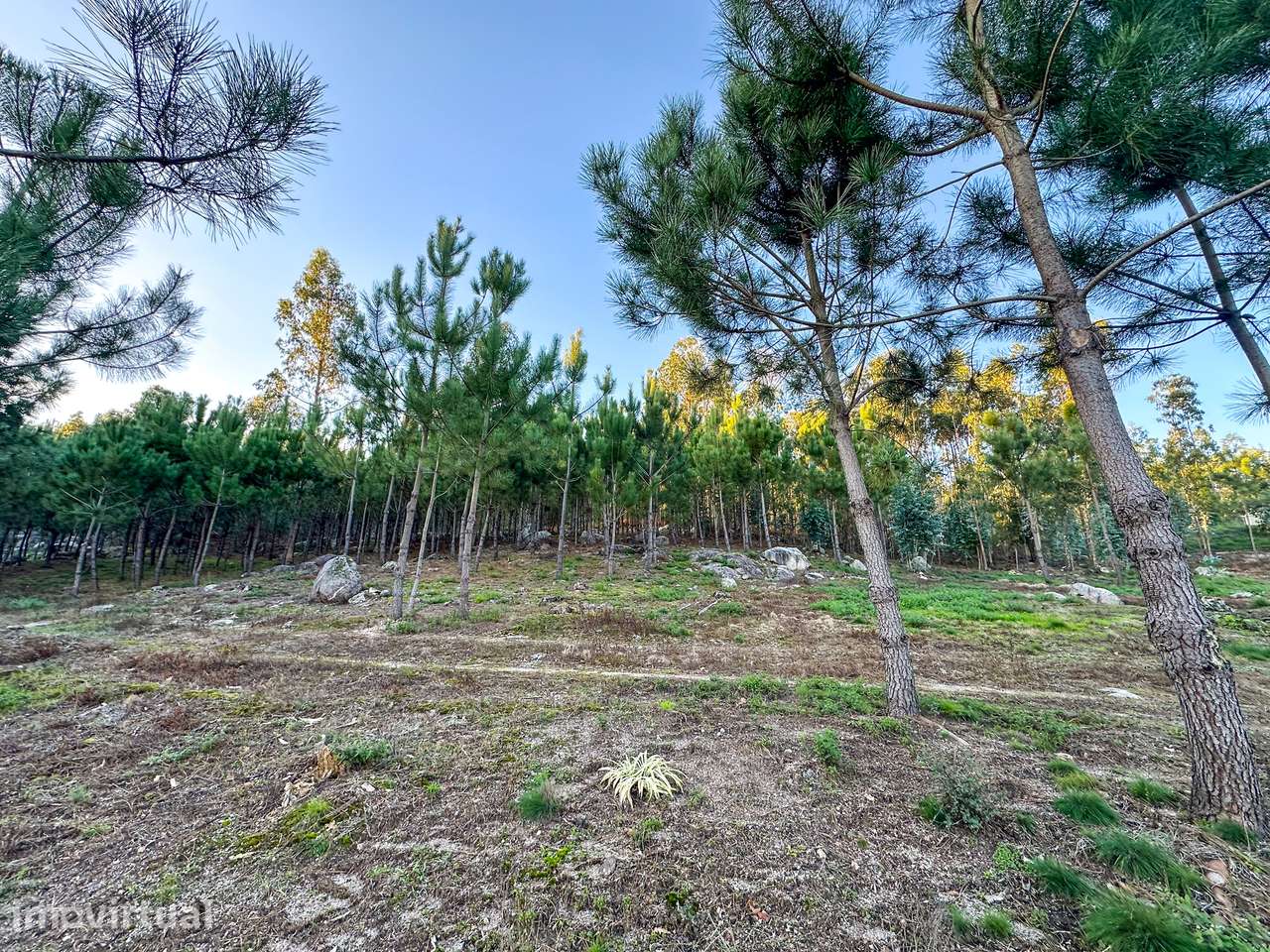 Terreno  Venda em Tamel (Santa Leocádia) e Vilar do Monte,Barcelos - Grande imagem: 5/13