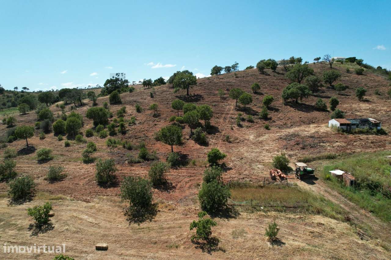 Quinta com casa e arrecadações com 23000m2 e dois poços na Senhora do - Grande imagem: 5/40