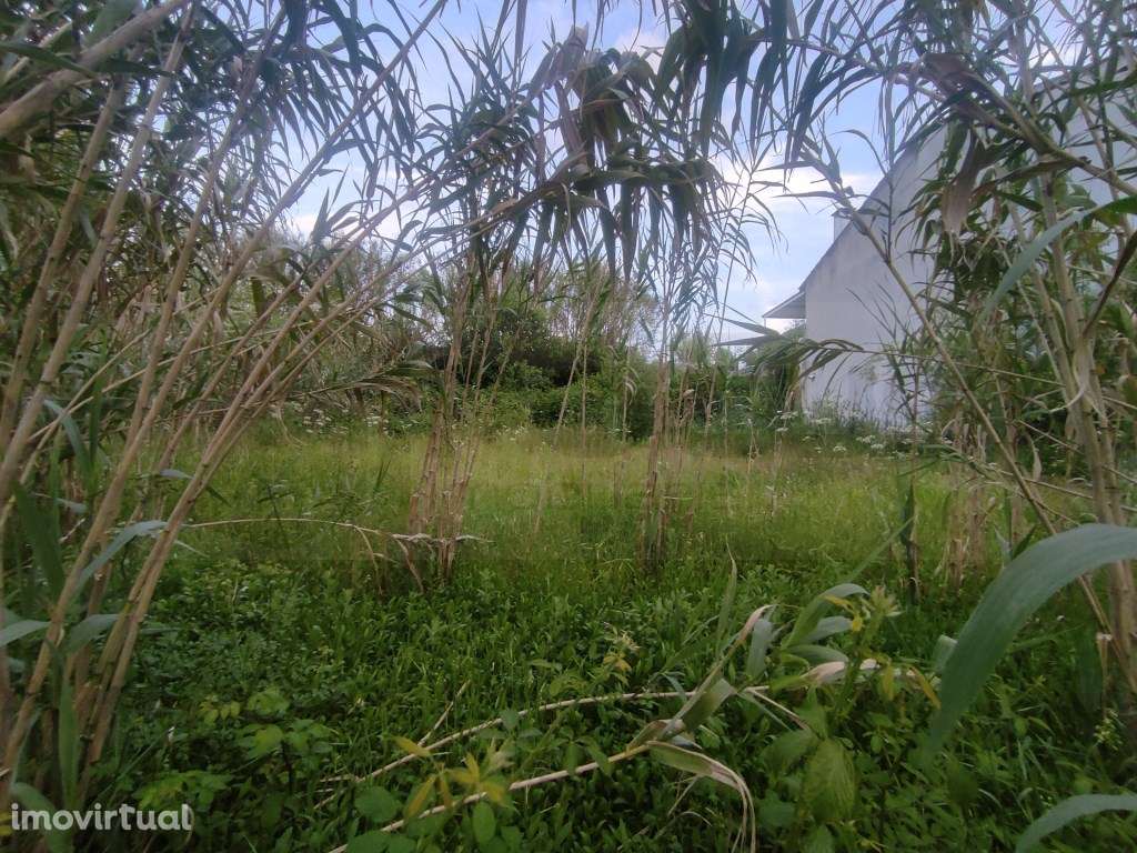 Lote de terreno para construção de moradia - Palhaça - Grande imagem: 4/21