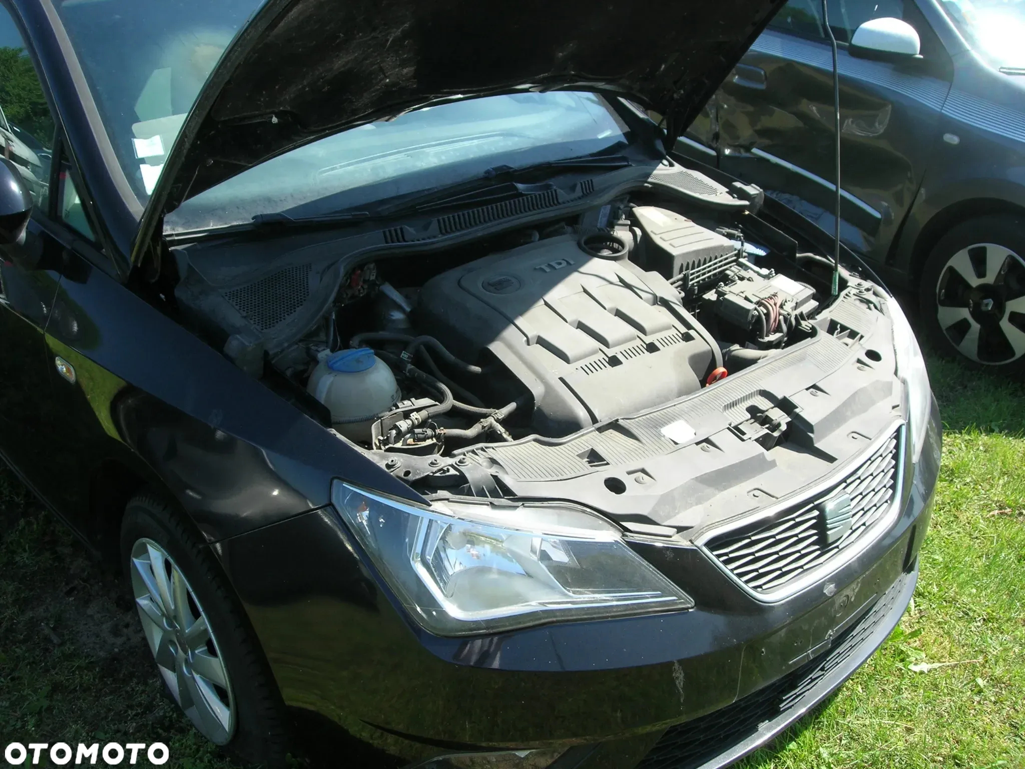 Seat Ibiza - 8