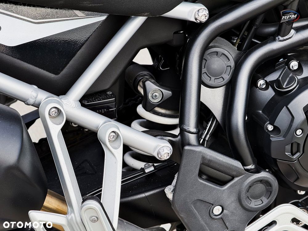 Triumph Tiger - 19