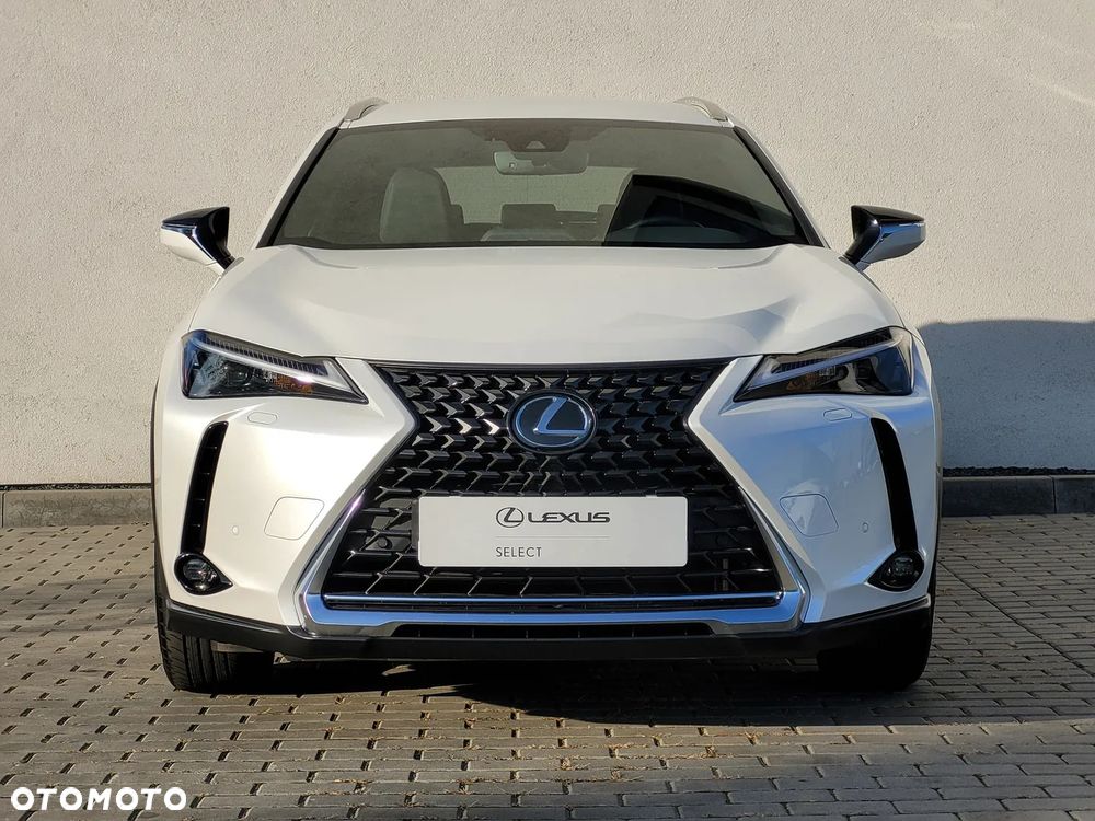Lexus UX 250h GPF Business Edition 2WD - 6