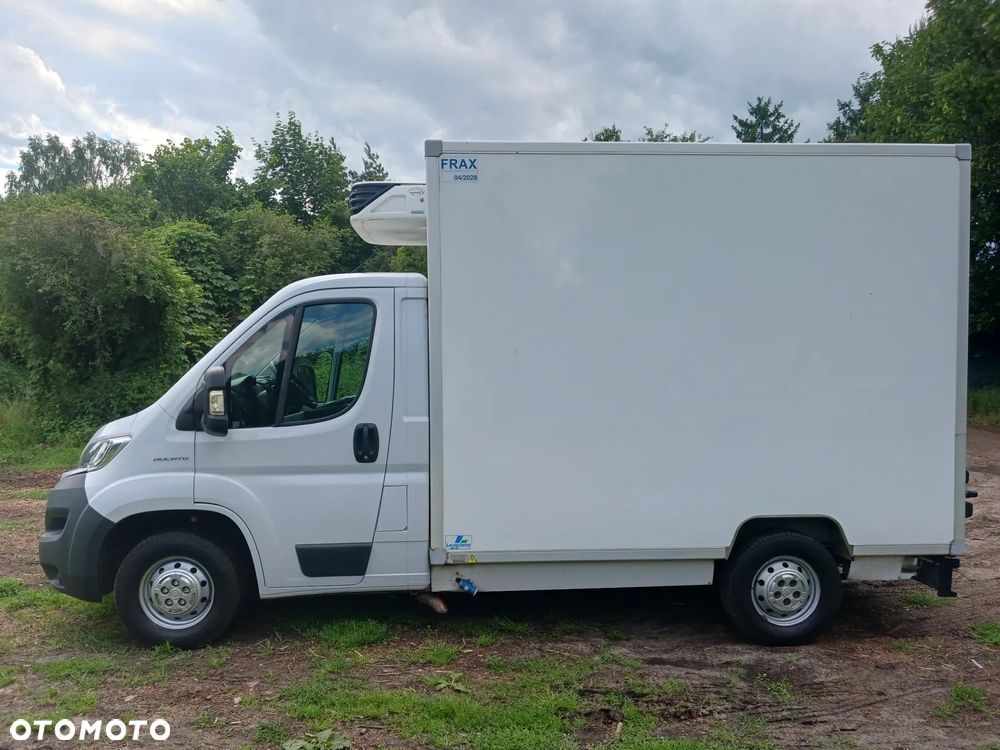 Fiat Ducato 2.3 MultiJet 130 KM 16r Izoterma Chłodnia Mroźnia Sklep Food Truck koniowóz - 13