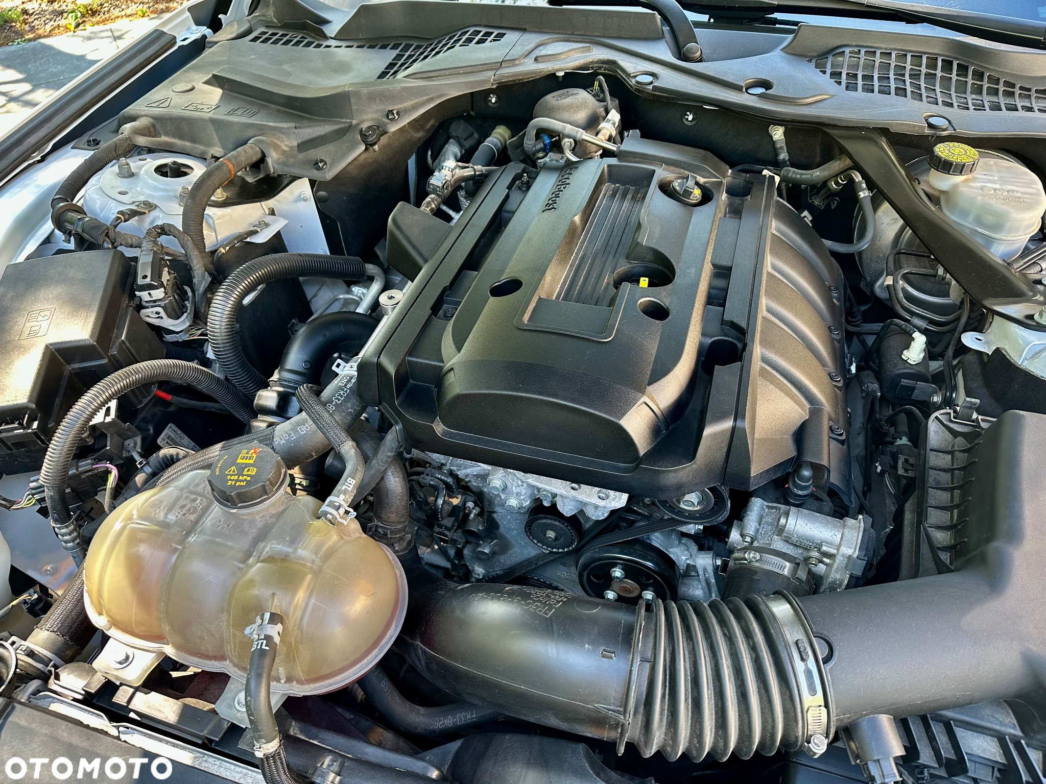 Ford Mustang Cabrio 2.3 Eco Boost - 15