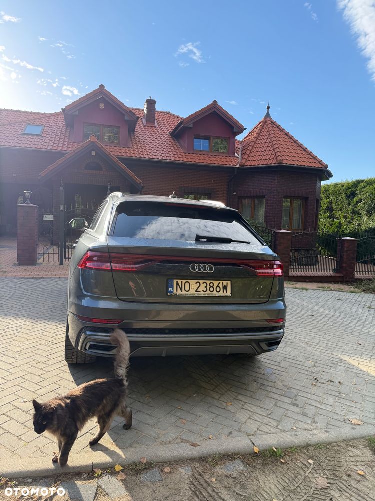 Audi Q8 50 TDI mHEV Quattro Tiptronic - 5