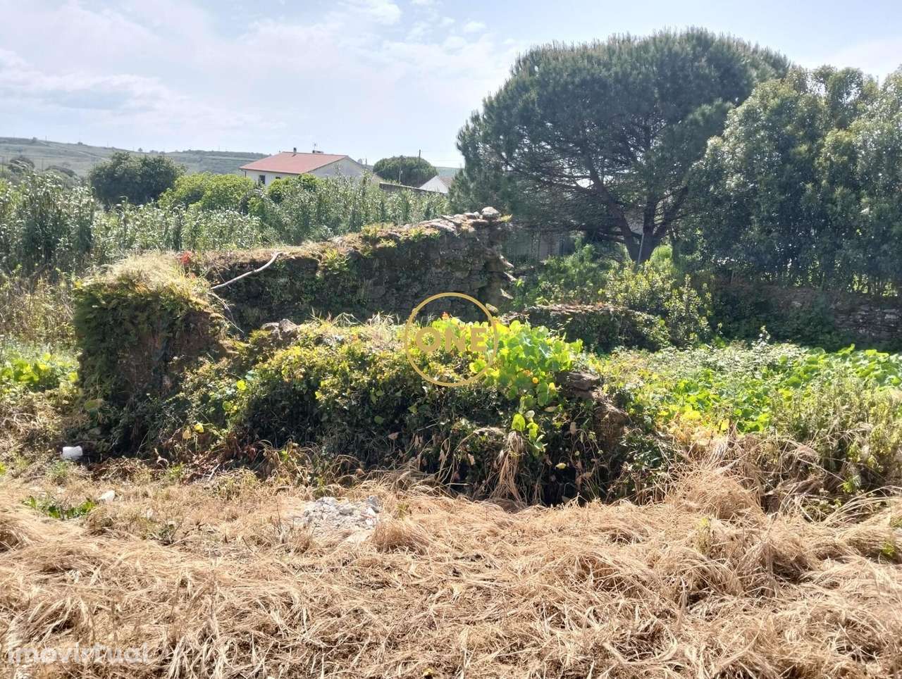 Lote Urbano na Sapataria, Sobral Monte Agraço - Grande imagem: 5/15