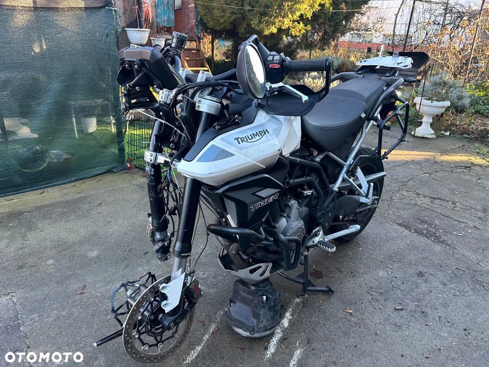Triumph Tiger - 10