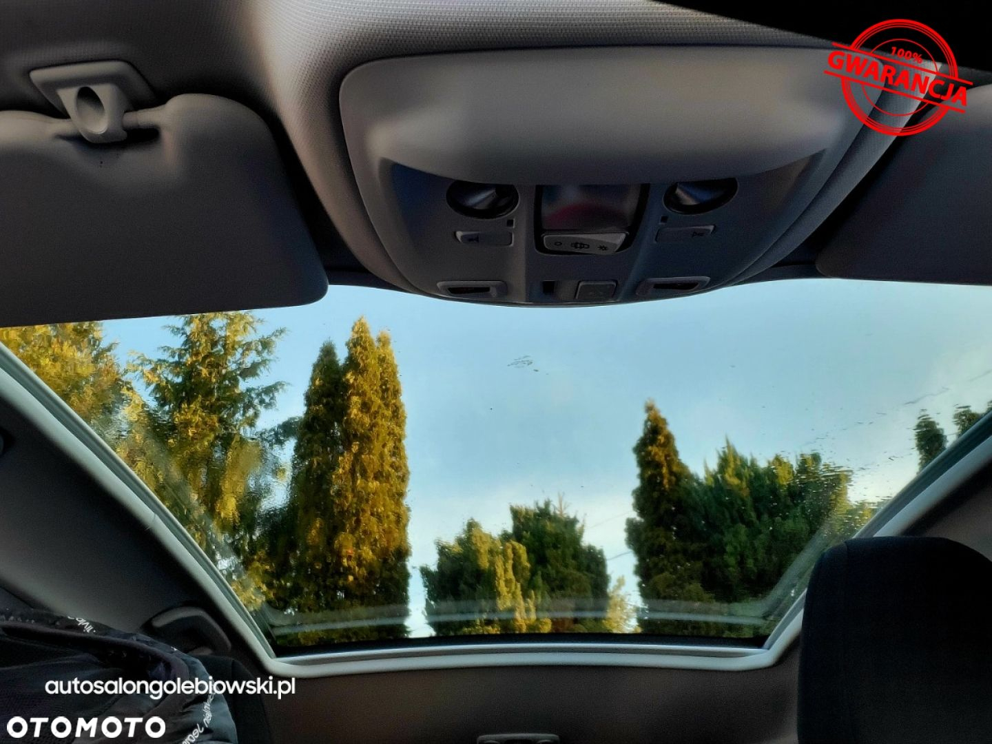 Peugeot 308 - 19