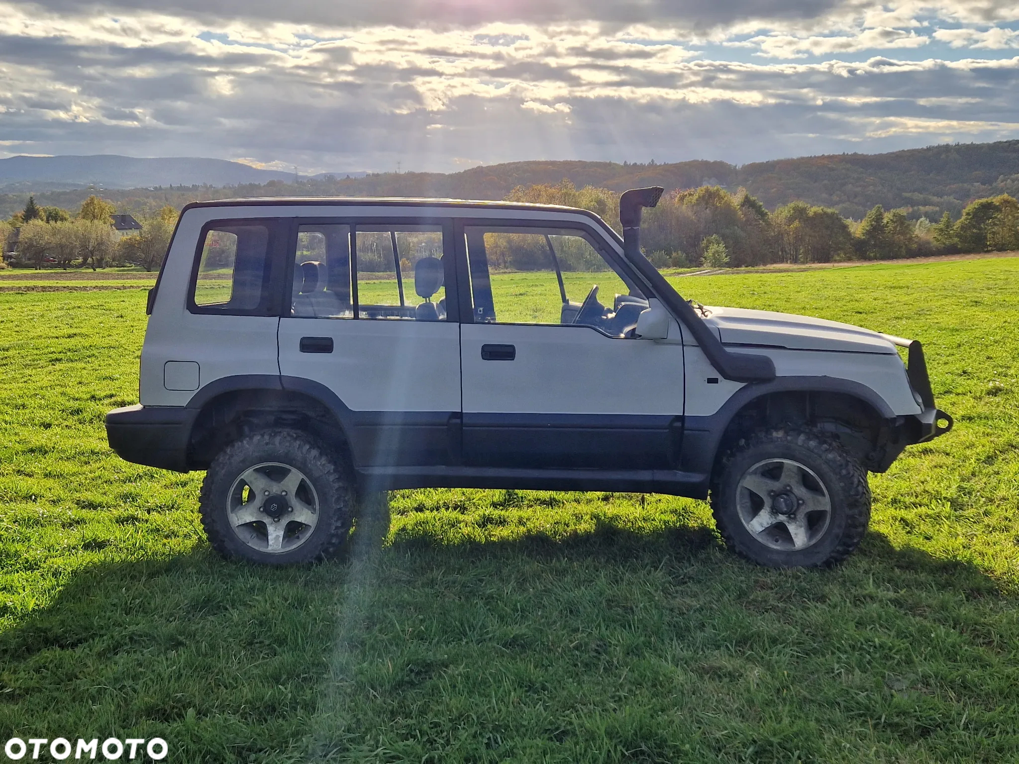 Suzuki Vitara - 18