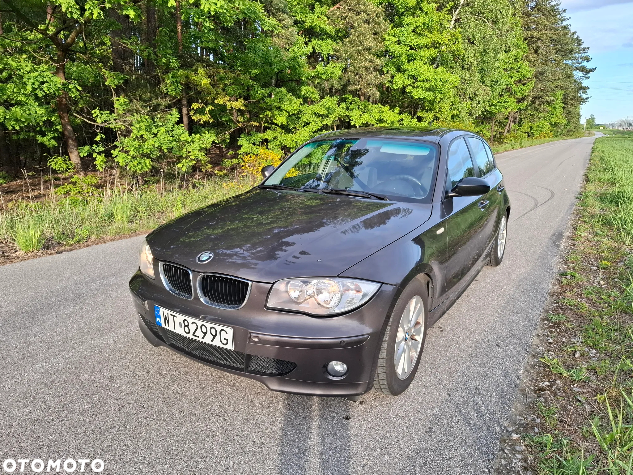 BMW Seria 1 116i - 24