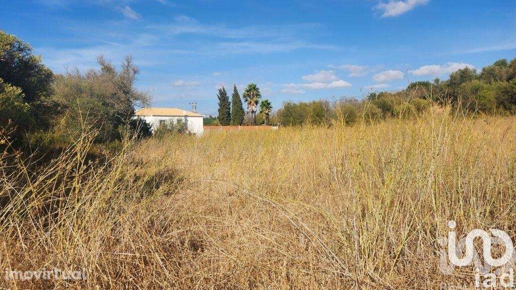 Terreno Agrícola em Algoz e Tunes - Grande imagem: 4/17