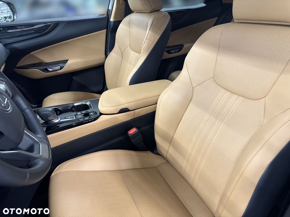 Lexus NX - 15