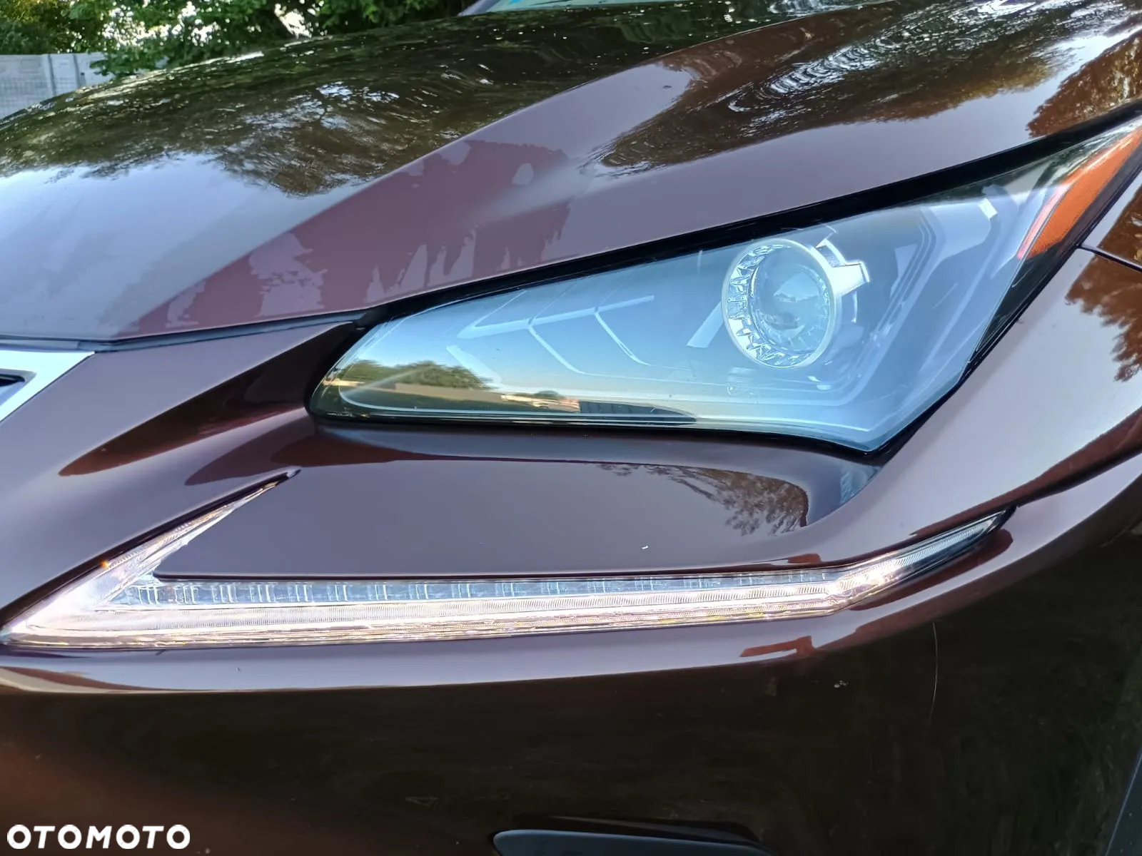 Lexus NX 300h Elegance AWD - 6