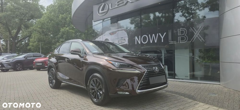 Lexus NX 300h Comfort AWD - 7