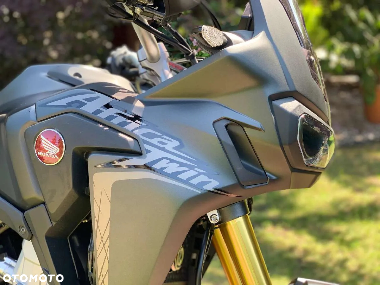Honda CRF - 7