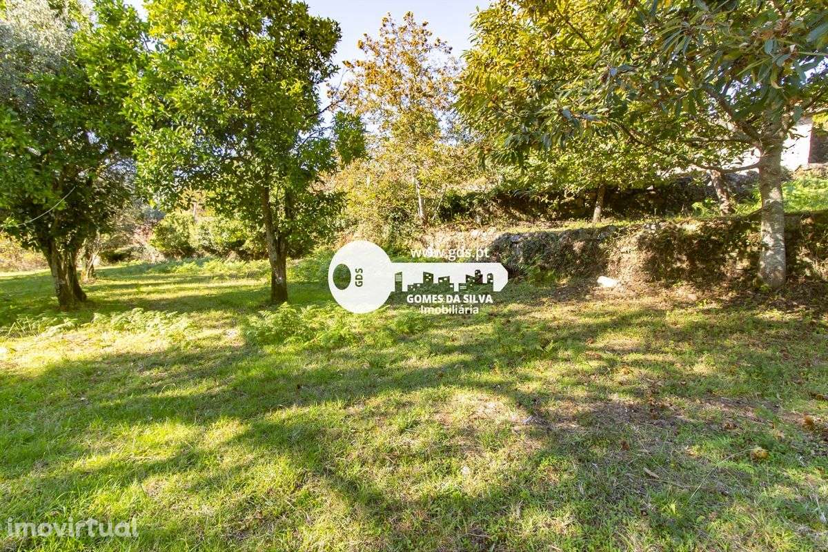 Quinta com 8000m2 de terreno em Pico de Regalados - Grande imagem: 2/26