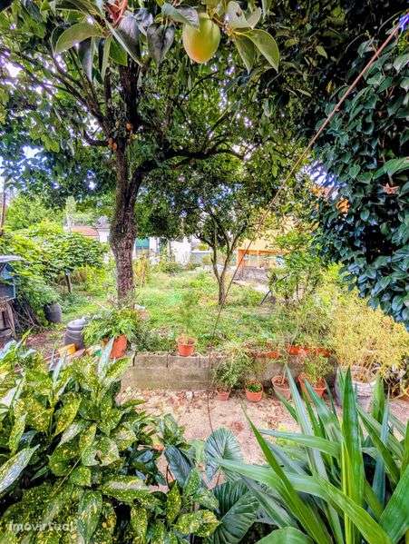 Moradia T3 com arrumos e logradouro jardim em Rebordosa - Grande imagem: 2/8