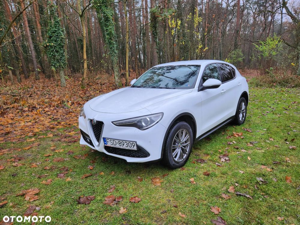 Alfa Romeo Stelvio 2.0 Turbo Business Q4 - 1