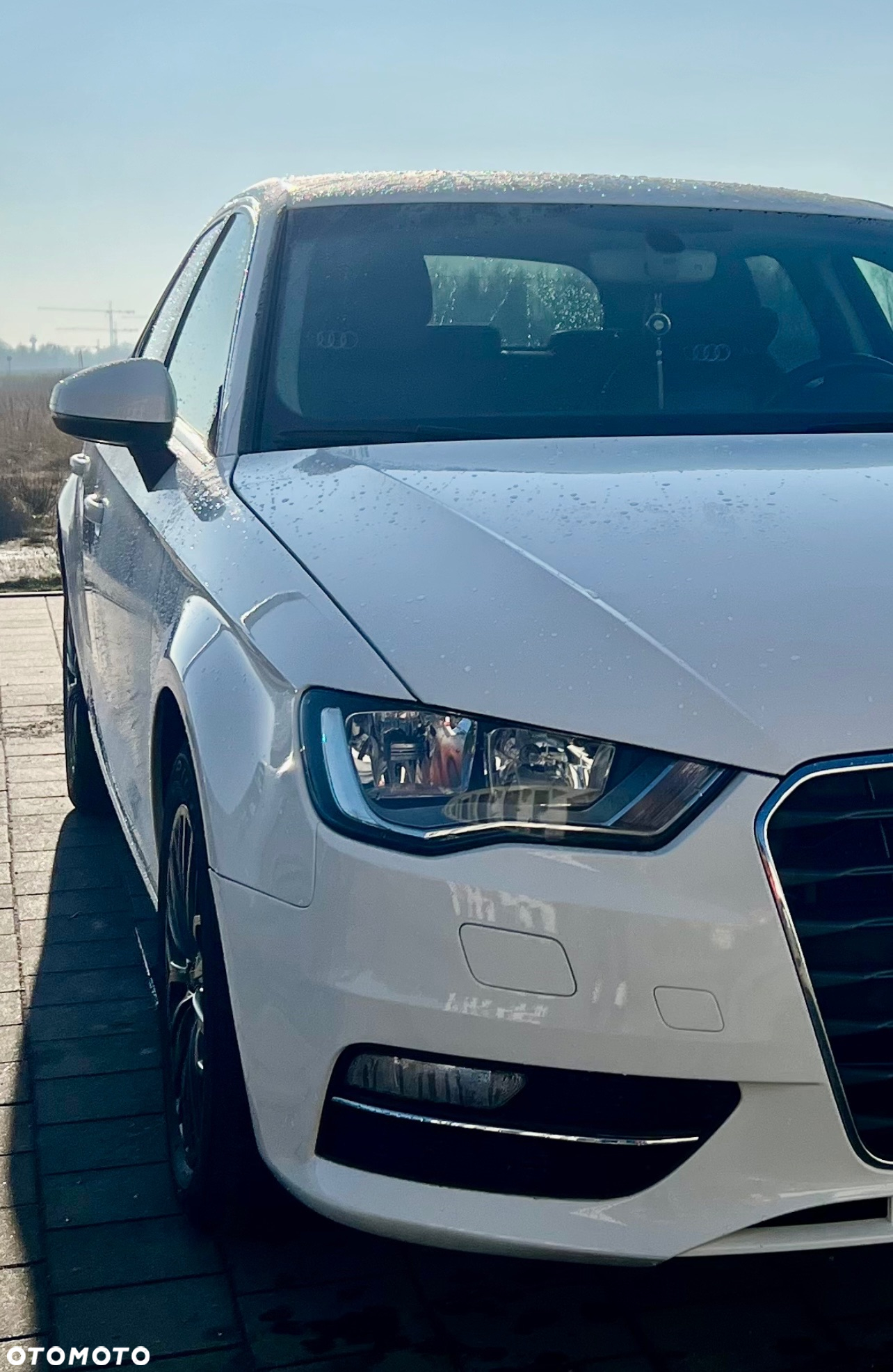 Audi A3 1.6 TDI - 4