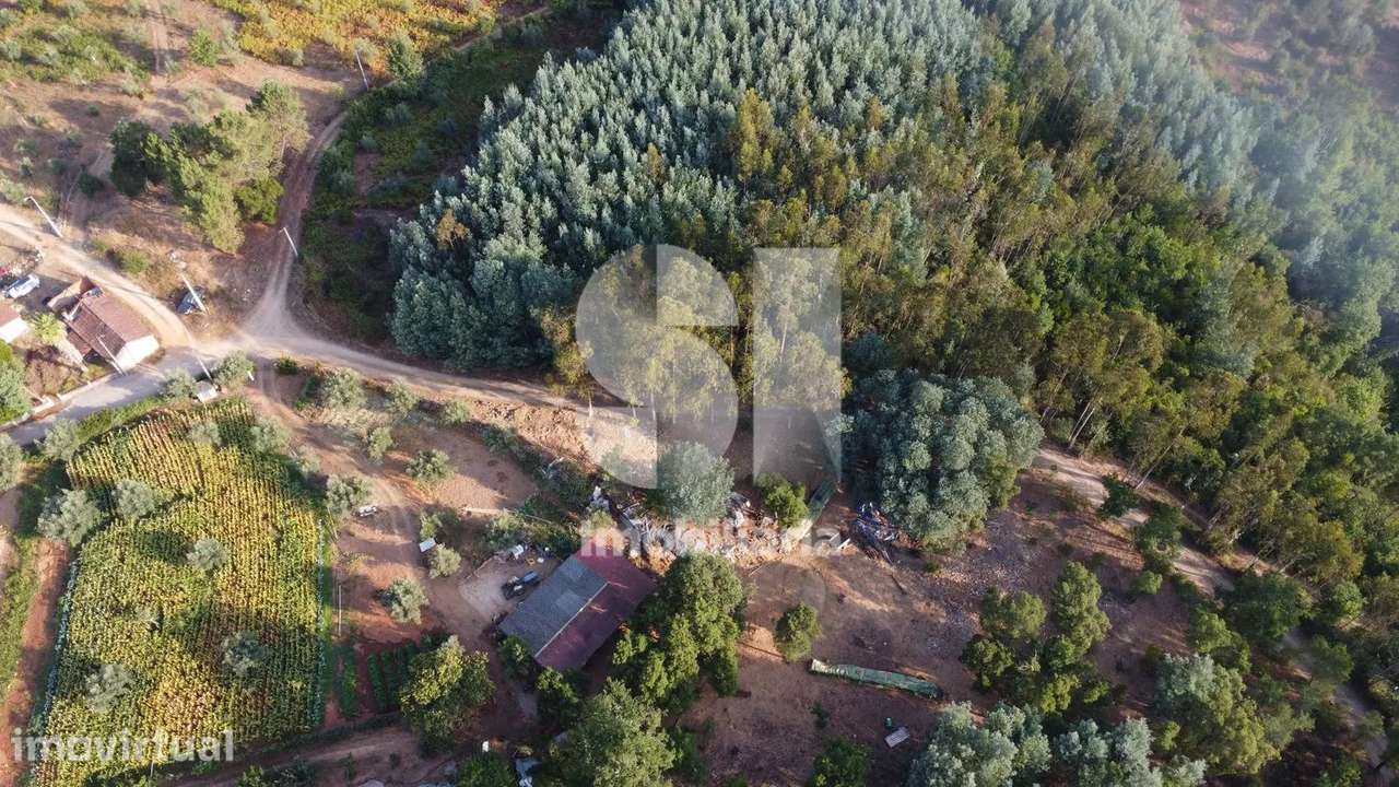 3 TERRENOS RUSTICOS COM 6500 M2 - Grande imagem: 5/12