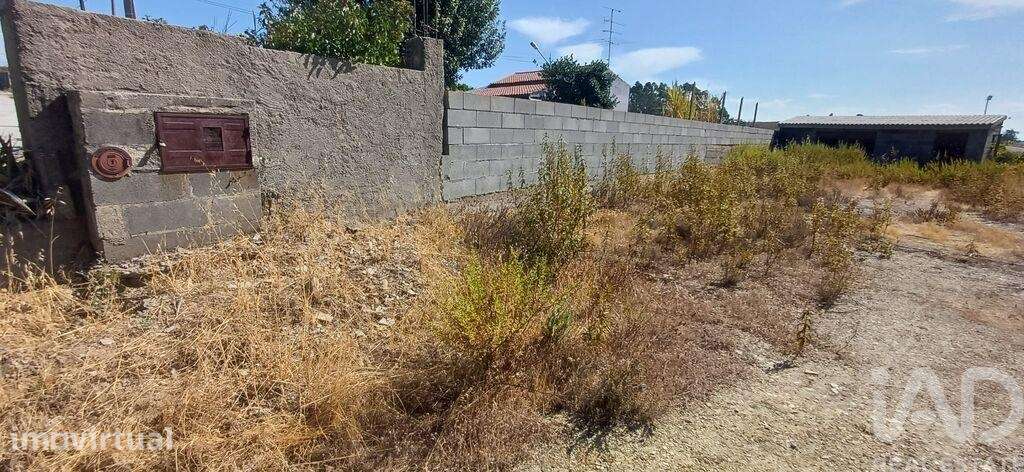 Terreno para construção em Castelo Branco - Grande imagem: 5/10