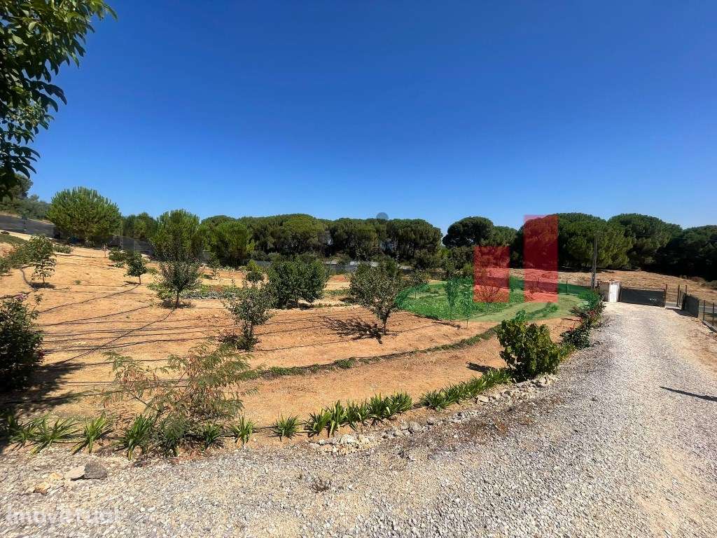 Terreno São João da Ribeira***RIOMAGIC*** - Grande imagem: 5/43