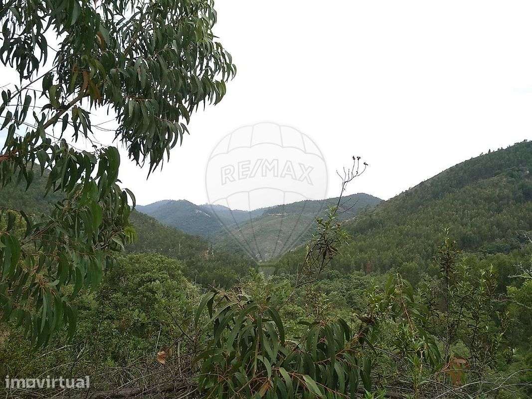 Terreno  para venda - Grande imagem: 4/4