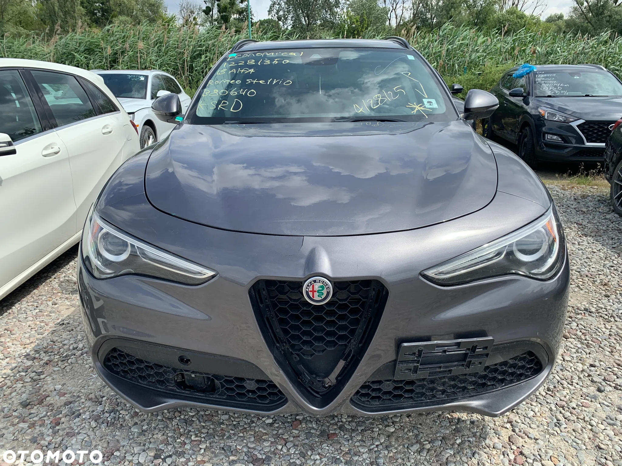 Alfa Romeo Stelvio 2.0 Turbo TI Q4 - 2