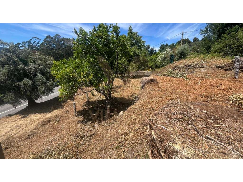 Terreno para Construção com 800 m² | Bárrio - Ponte de Lima - Grande imagem: 4/13