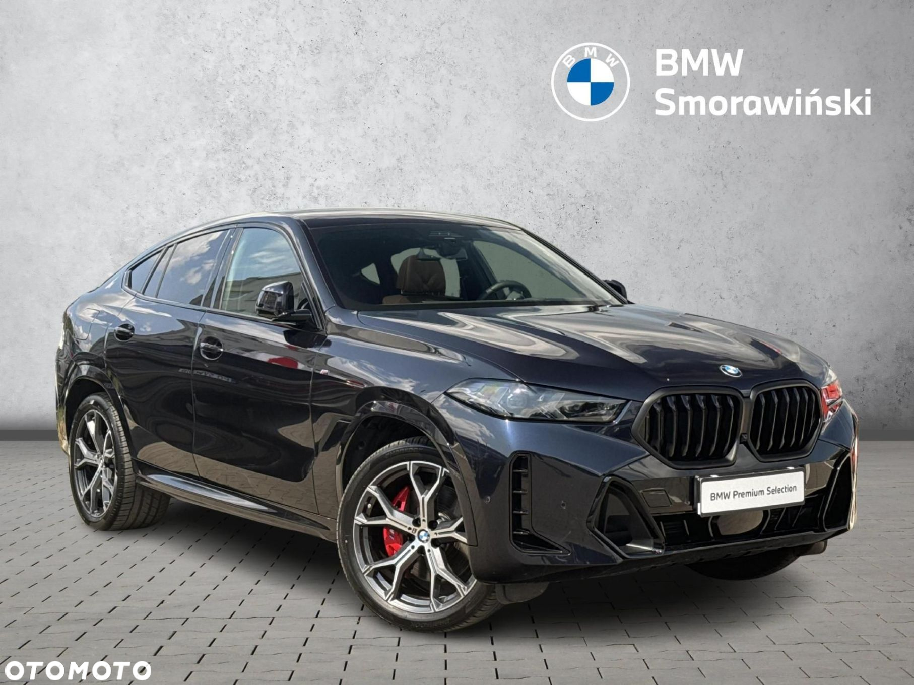 BMW X6 - 7