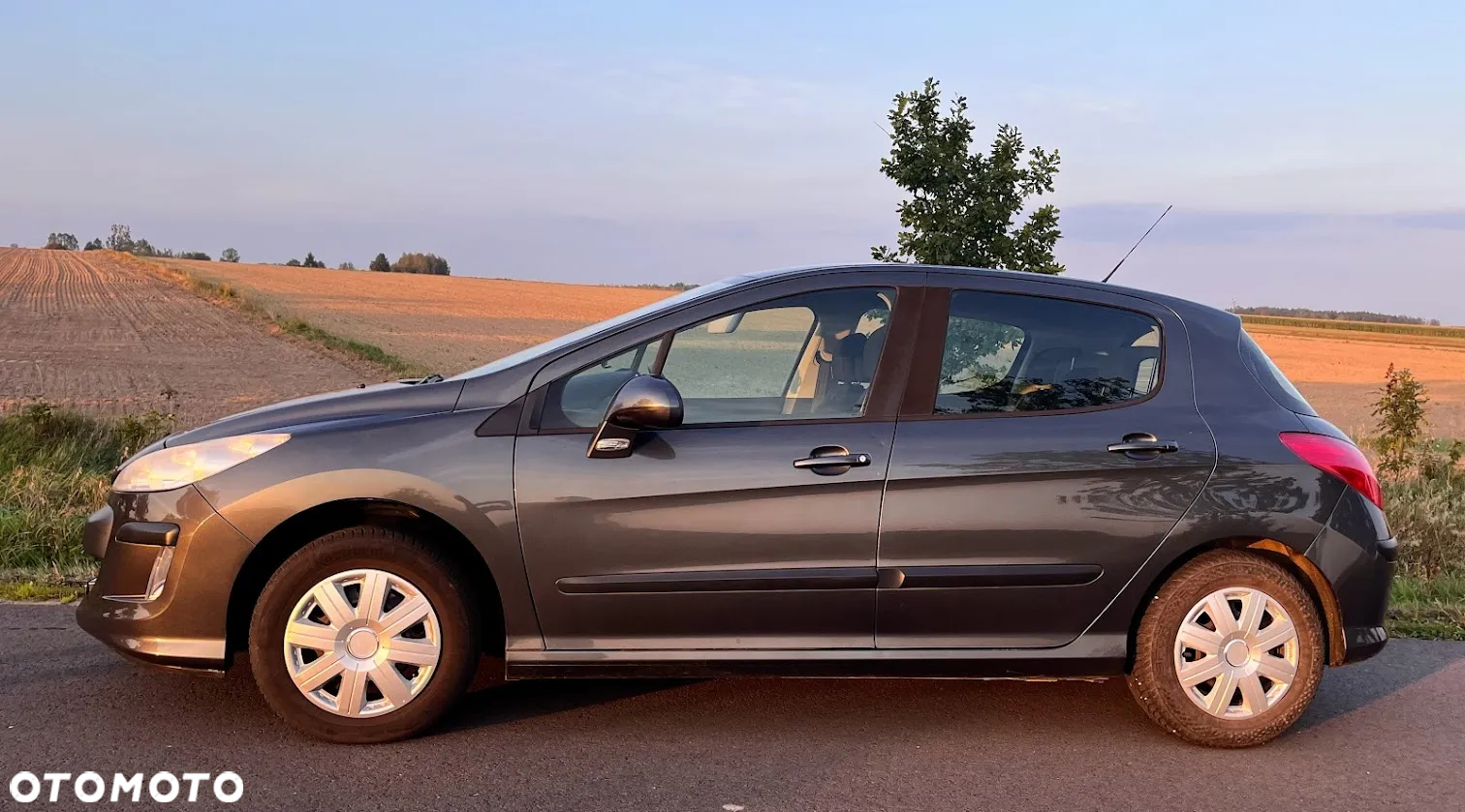 Peugeot 308 - 2