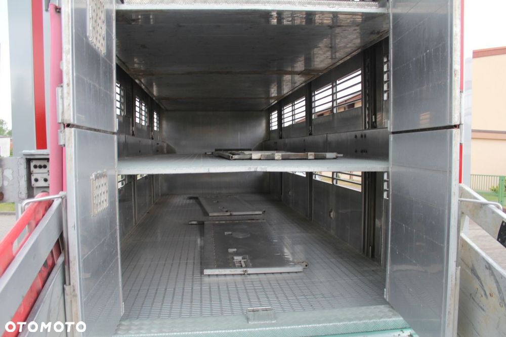 MAN TGS 26.440 DO ŻYWCA ZWIERZĄT BYDŁA Z NIEMIEC - 17