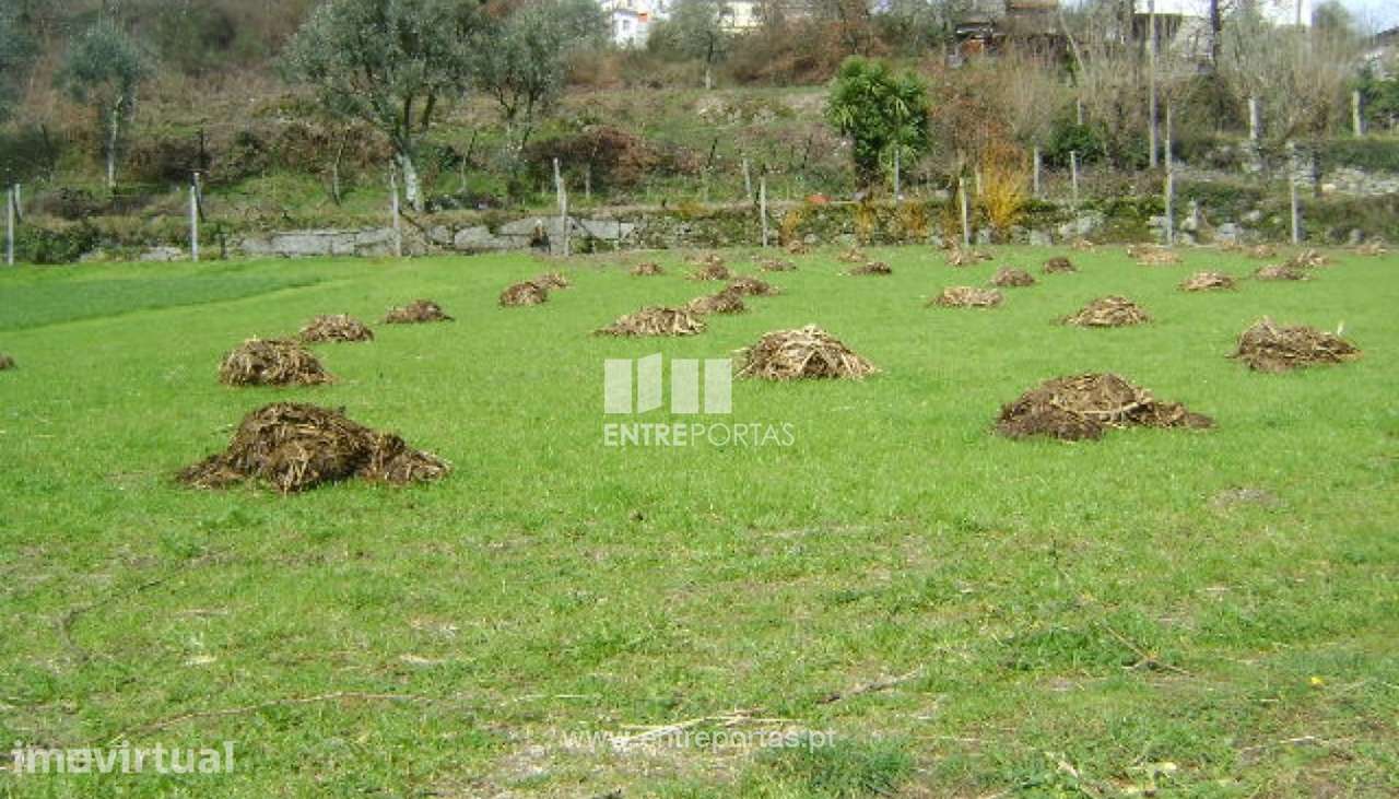 Venda Terreno, Campelo, Baião - Grande imagem: 5/9