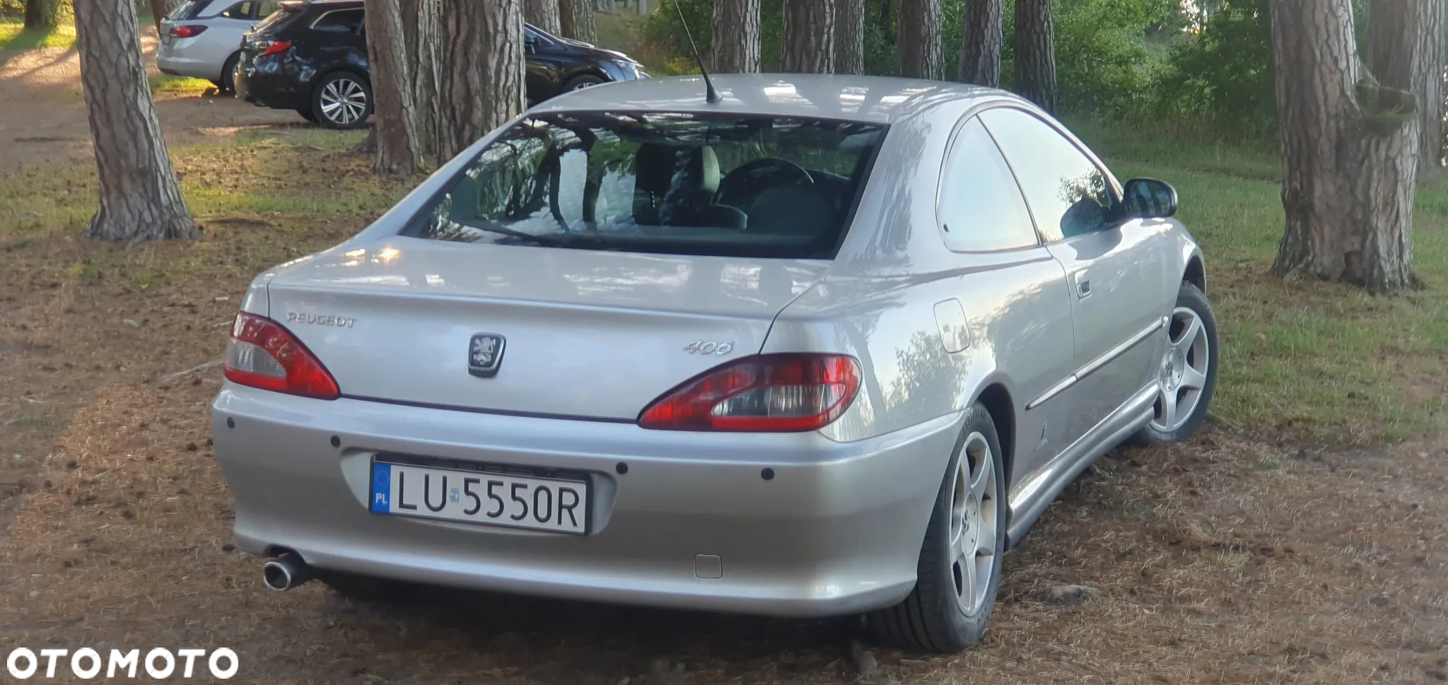 Peugeot 406 2.2 HDI - 8