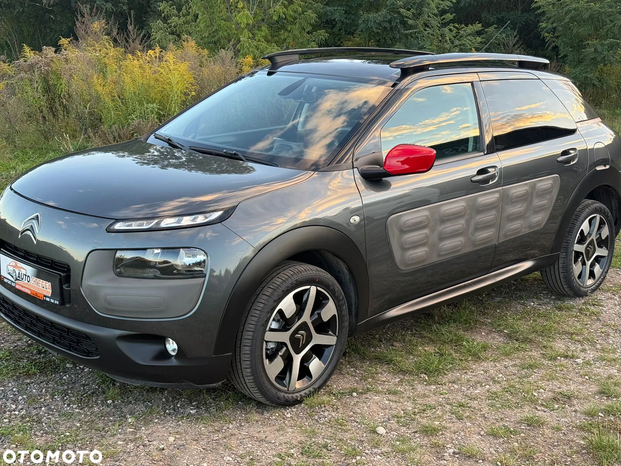 Citroën C4 Cactus BlueHDi 100 Stop&Start Live - 1