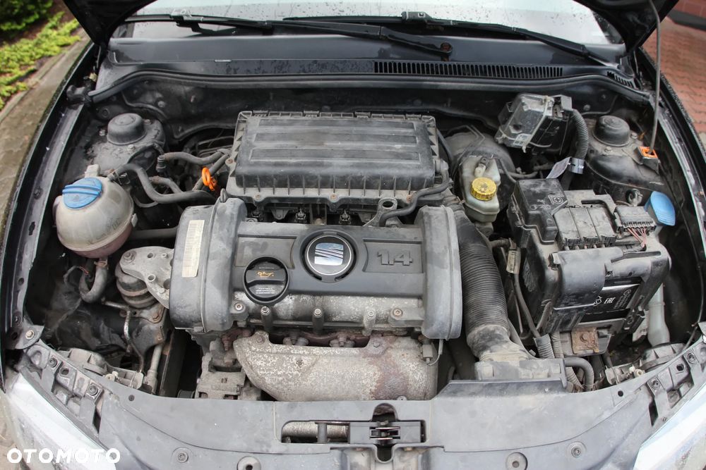 Seat Ibiza - 37